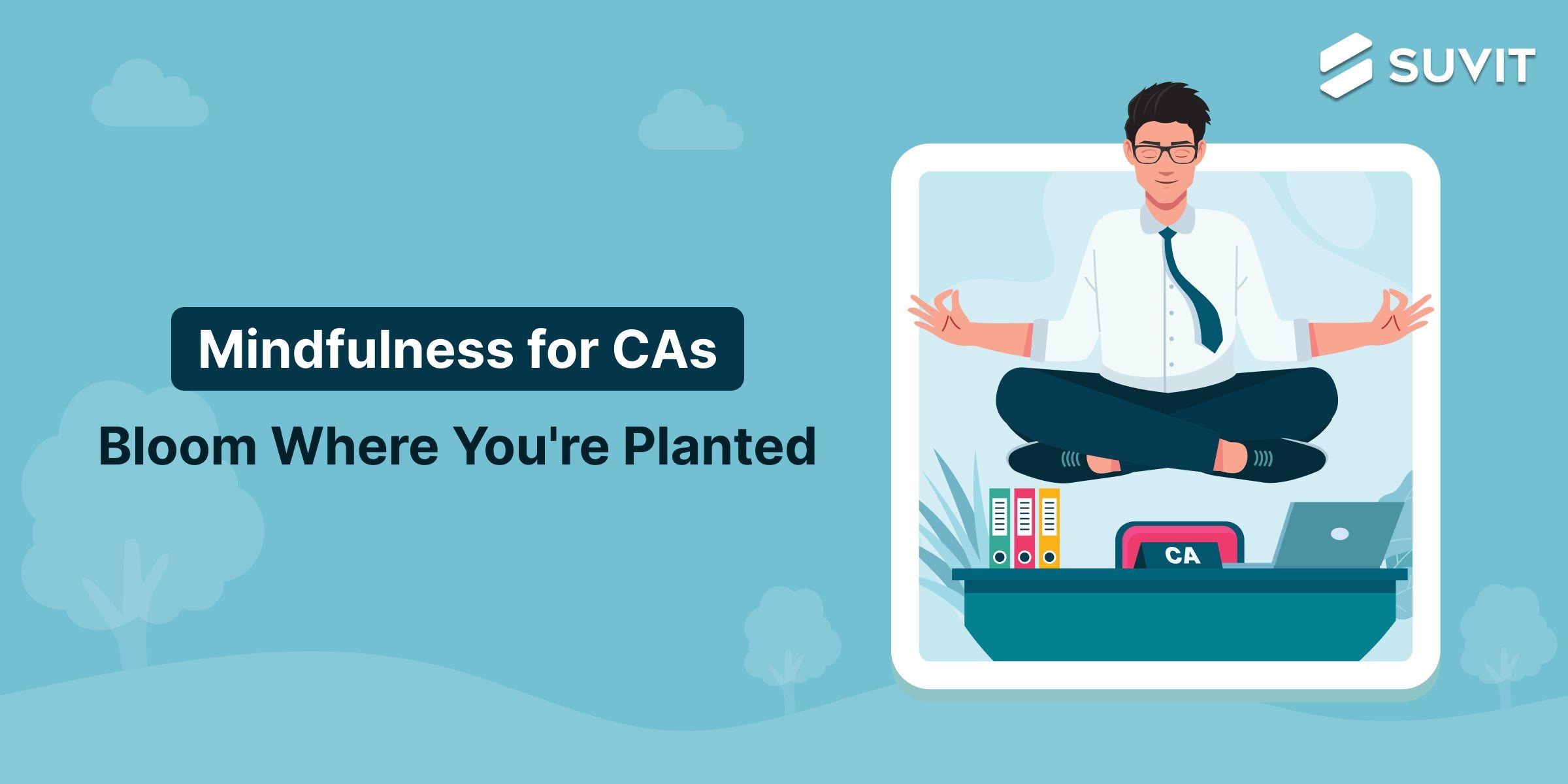 The Mindful CA's Guide to Inner Peace and Peak Performance
